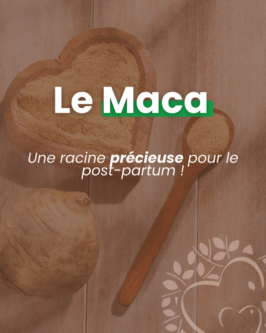 Le Maca : une racine précieuse pour le post-partum