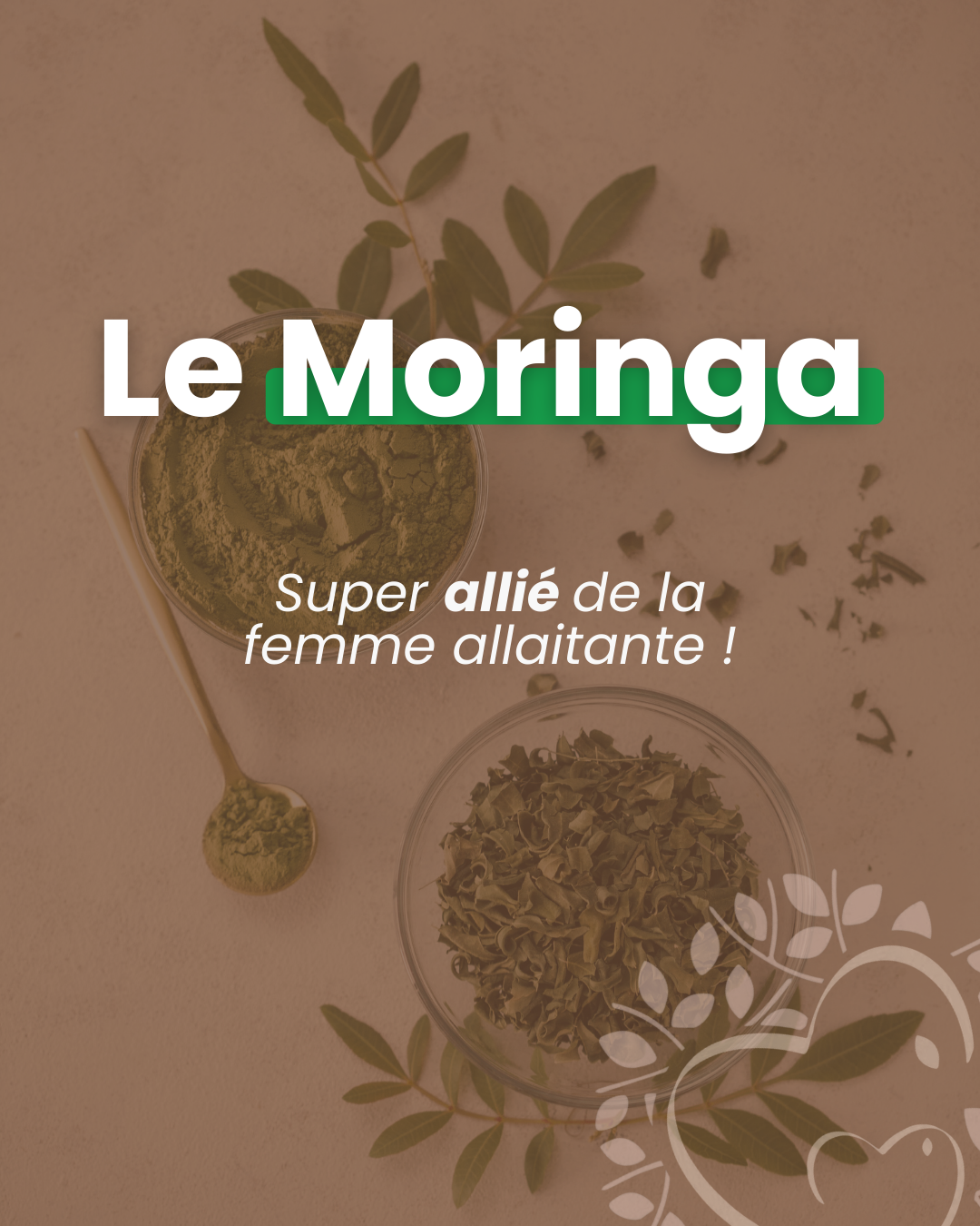 Le Moringa : une plante complète pour soutenir l’allaitement