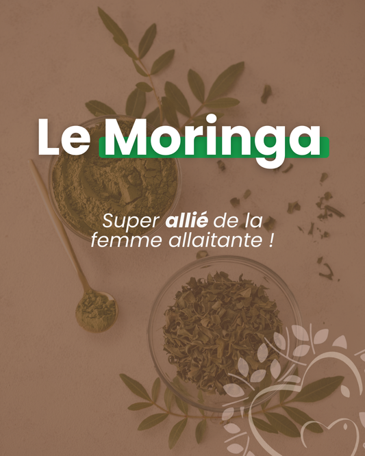 Le Moringa : une plante complète pour soutenir l’allaitement