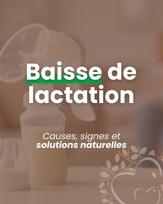 Baisse de lactation : causes et solutions naturelles