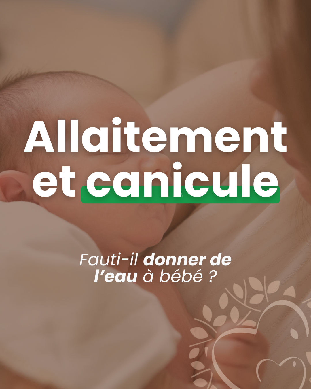 Allaitement et canicule : faut-il donner de l'eau à bébé ?
