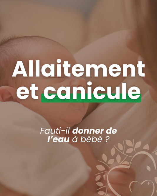 Allaitement et canicule : faut-il donner de l'eau à bébé ?