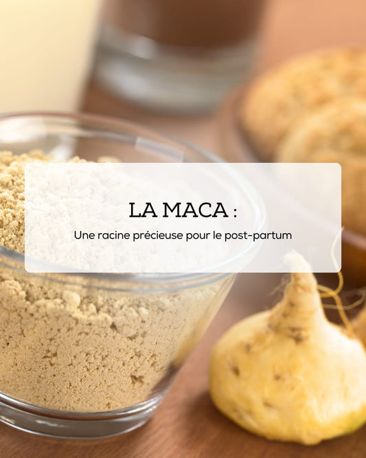 La Maca : une racine précieuse pour le post-partum