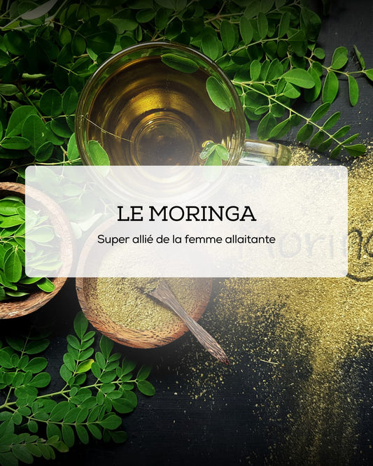 Le Moringa : une plante complète pour soutenir l’allaitement